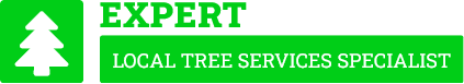 Tauranga Tree Cutting - Tree Removal Tauranga
